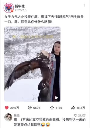 Chú chim đầu tiên được lên hot search xứ Trung vì thái độ cực gắt với du khách- Ảnh 5.