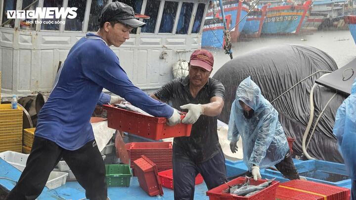 Tàu cá nối đuôi nhau cập bờ, ngư dân tất bật bán hải sản 'chạy bão' Bualoi- Ảnh 5.