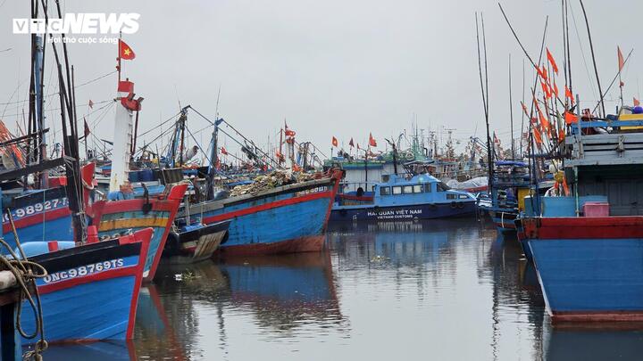 Tàu cá nối đuôi nhau cập bờ, ngư dân tất bật bán hải sản 'chạy bão' Bualoi- Ảnh 8.