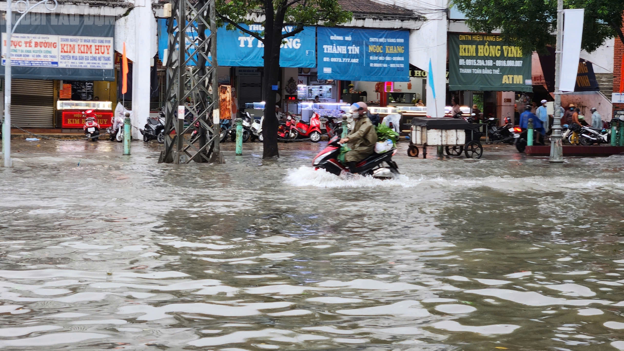 Quảng Trị: Mưa trắng trời, đường phố "biến thành sông" do ảnh hưởng bão số 10- Ảnh 7.