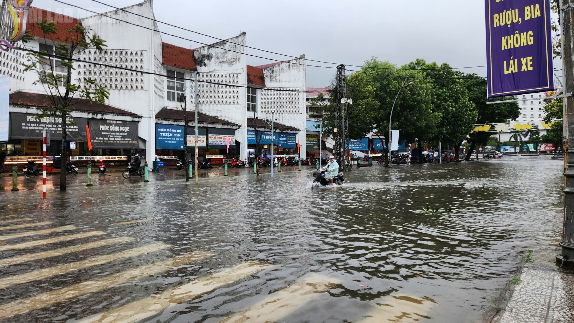 Quảng Trị: Mưa trắng trời, đường phố "biến thành sông" do ảnh hưởng bão số 10- Ảnh 9.