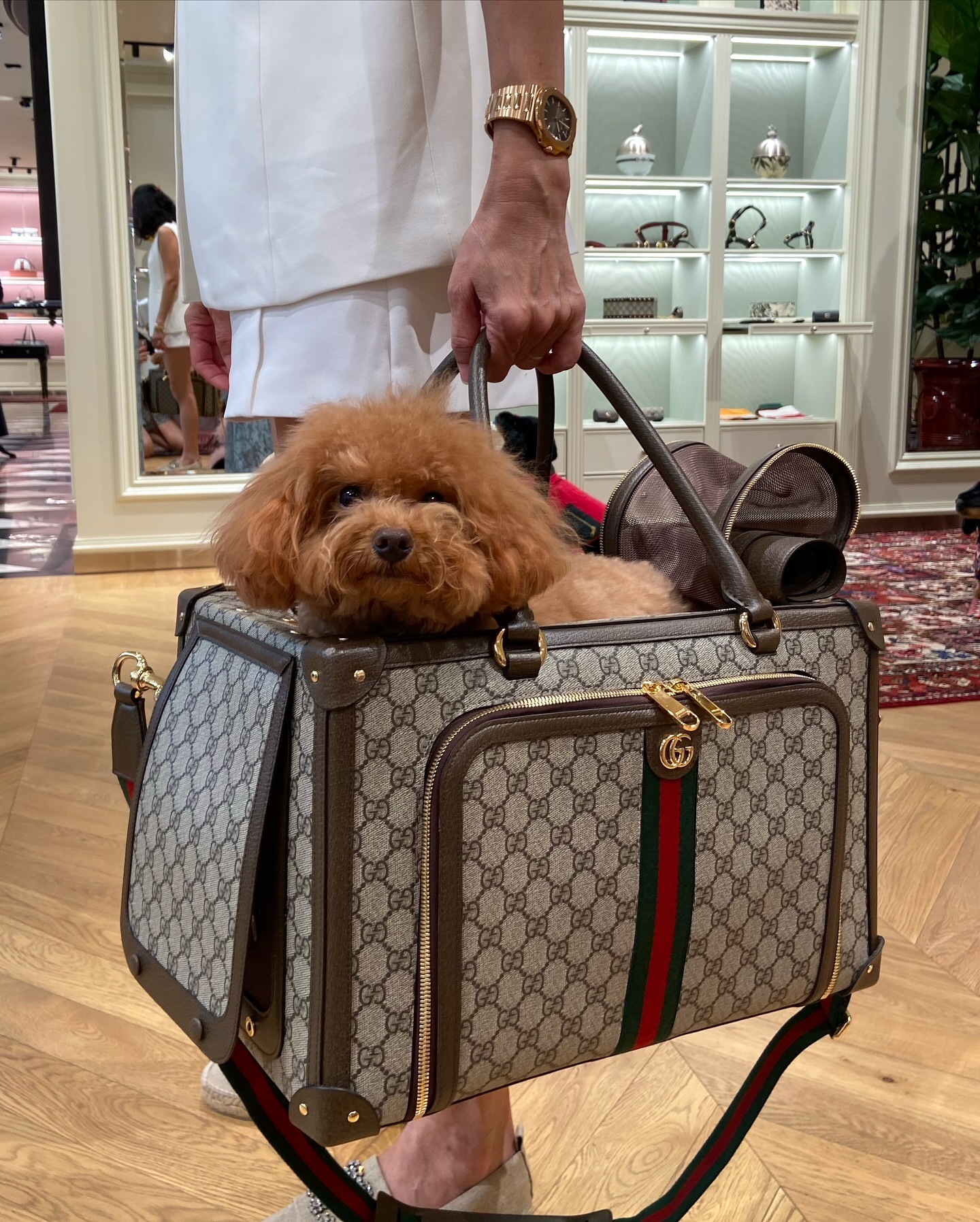 TikToker làm nghề "con gái nhà giàu": 3 tuổi ngồi trong túi Hermès, lớn lên chỉ nuôi chó vừa size Birkin 35- Ảnh 7.