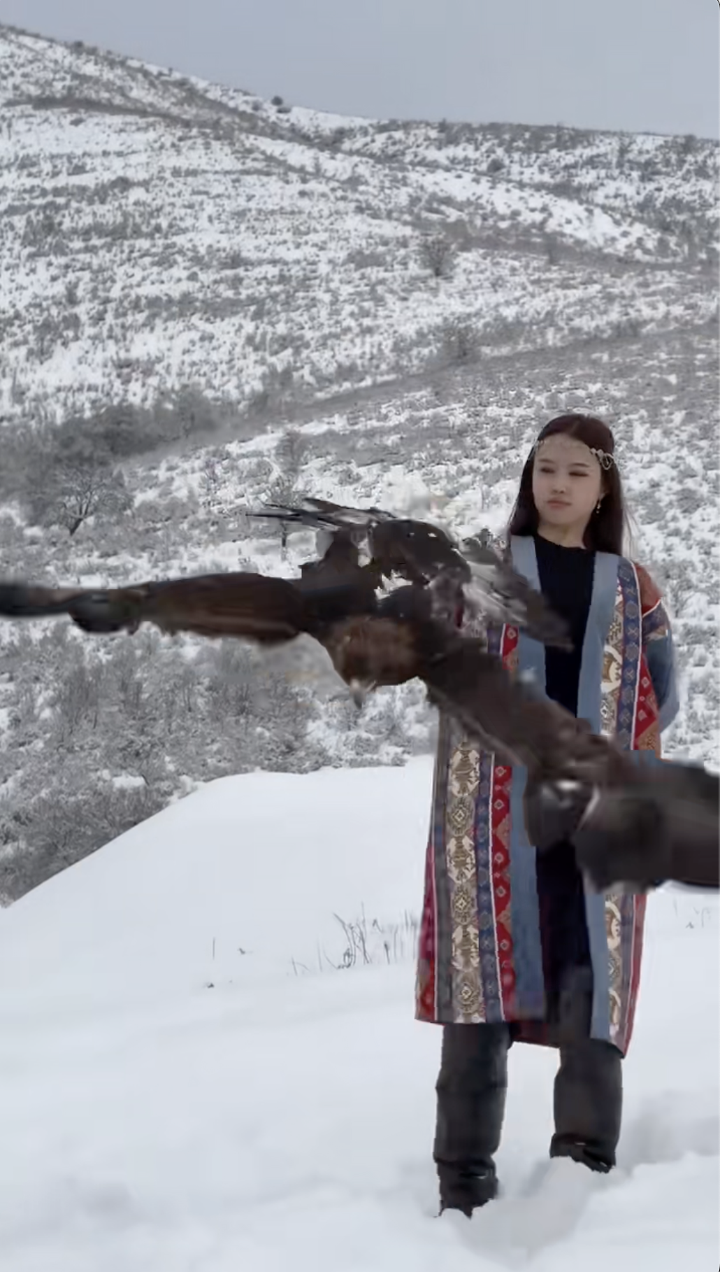 Chú chim đầu tiên được lên hot search xứ Trung vì thái độ cực gắt với du khách- Ảnh 4.