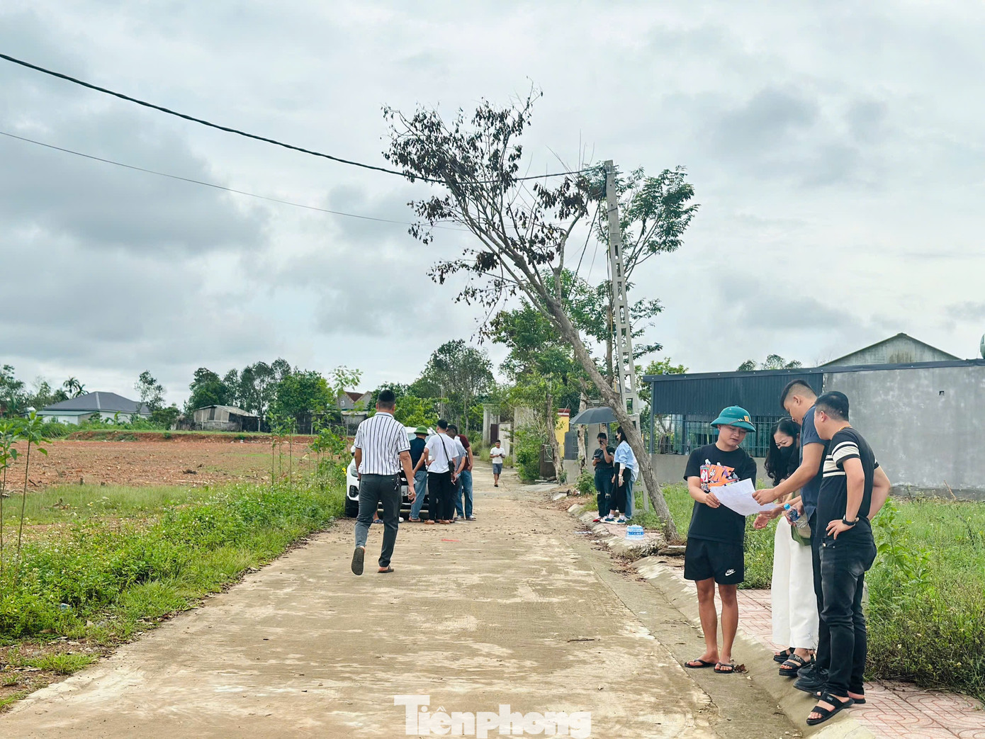“Cò đất” lặng lẽ rời đi sau khi đổ về vùng quê khiến đất "sốt" lên từng ngày- Ảnh 1.