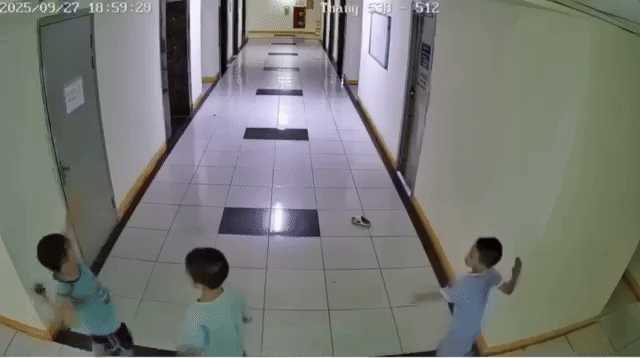 Cháu bé ném dép làm hỏng thang máy chung cư ở Hà Nội: Sự thật thông tin phải bồi thường 2 tỷ đồng- Ảnh 1. Cháu bé ném dép làm hỏng thang máy chung cư ở Hà Nội: Sự thật thông tin phải bồi thường 2 tỷ đồng- Ảnh 1.