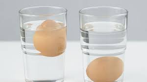 Mua trứng gà, chỉ cần thuộc lòng mẹo này là biết ngay trứng tươi hay trứng cũ- Ảnh 2.