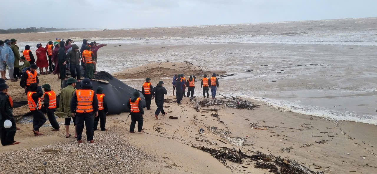 NÓNG: Đang giải cứu 10 ngư dân trên tàu cá ở TP HCM gặp nạn trong bão số 10 Bualoi- Ảnh 7.