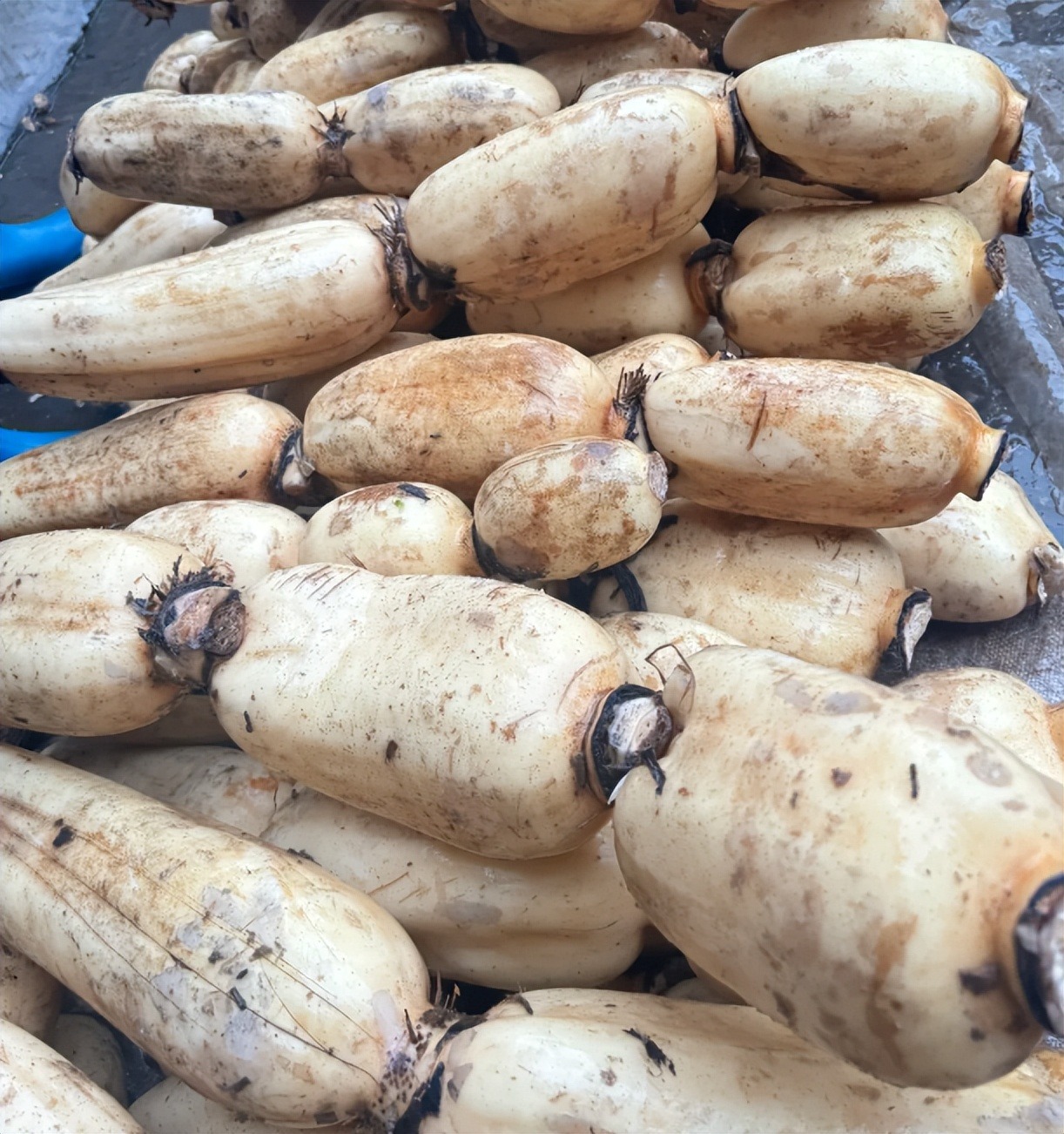 4 loại rau củ dễ bị 