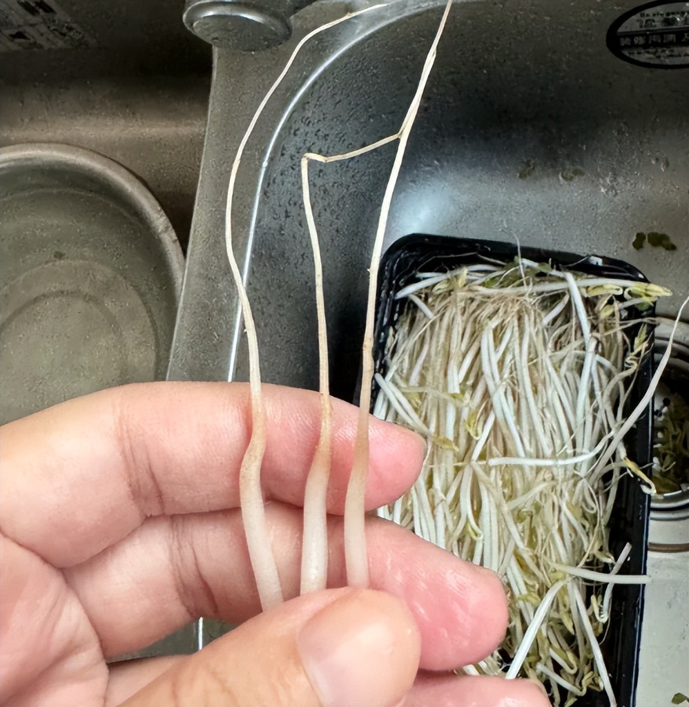 4 loại rau củ dễ bị 