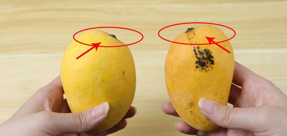 Mua xoài, liếc mắt với 5 mẹo này là biết ngay quả ngon hay quả ủng- Ảnh 1. Mua xoài, liếc mắt với 5 mẹo này là biết ngay quả ngon hay quả ủng- Ảnh 1.