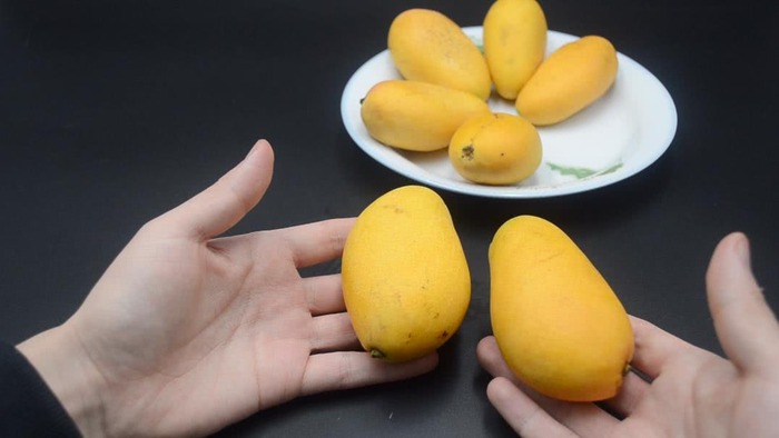 Mua xoài, liếc mắt với 5 mẹo này là biết ngay quả ngon hay quả ủng- Ảnh 2. Mua xoài, liếc mắt với 5 mẹo này là biết ngay quả ngon hay quả ủng- Ảnh 2.