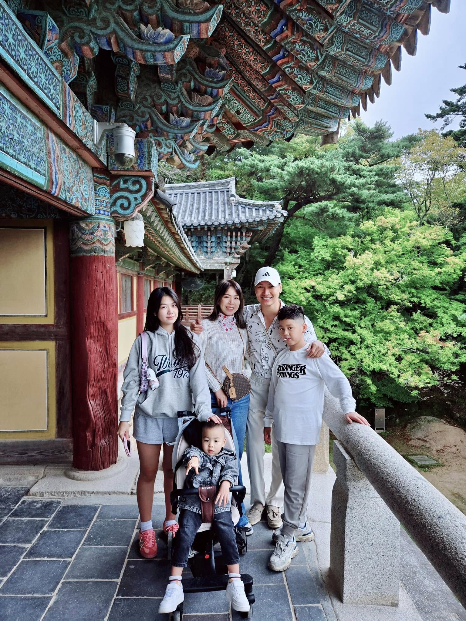 Ngoại hình của nam nghệ sĩ hào hoa, yêu vợ bậc nhất showbiz, có nhà từ Hà Nội đến Hưng Yên, Phú Thọ- Ảnh 5.