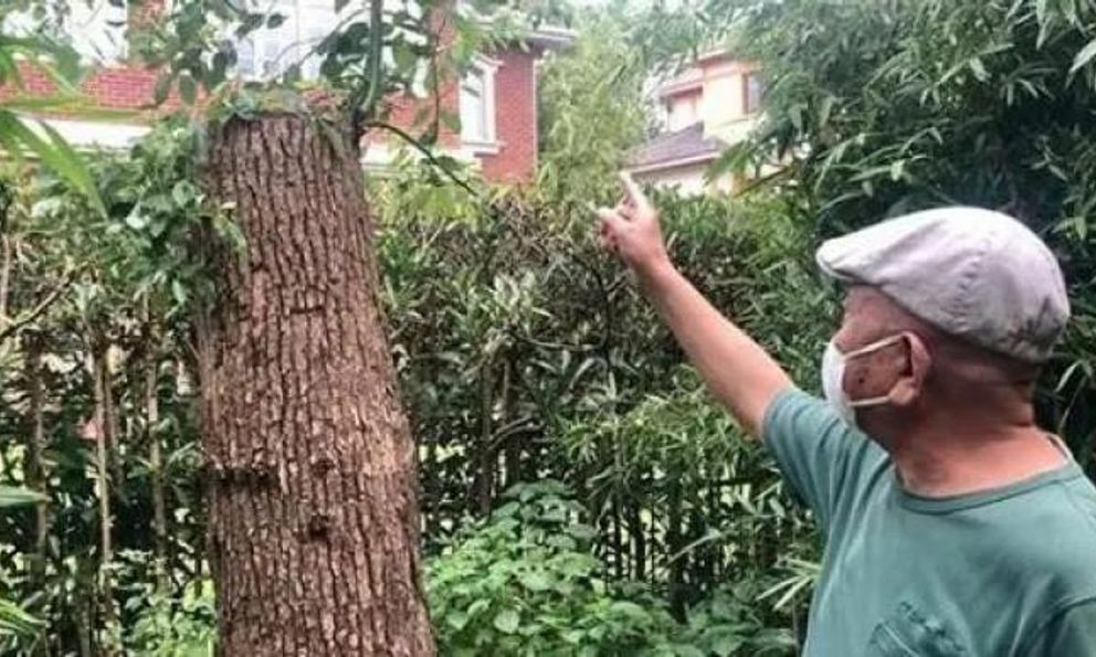 Bị quản lý chung cư…