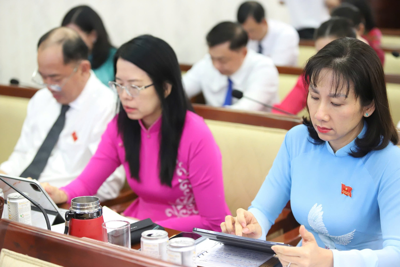 Chuyển 2.000 m2 rừng phòng hộ xây dựng hạ tầng trung tâm Côn Đảo- Ảnh 2.