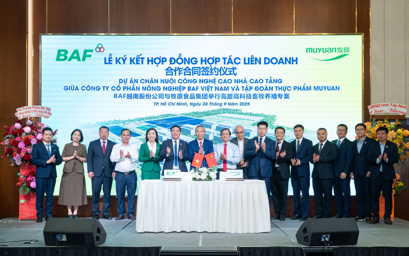 BAF bắt tay Muyuan trong dự án nuôi heo nhà cao tầng 12.000 tỷ đồng- Ảnh 2.