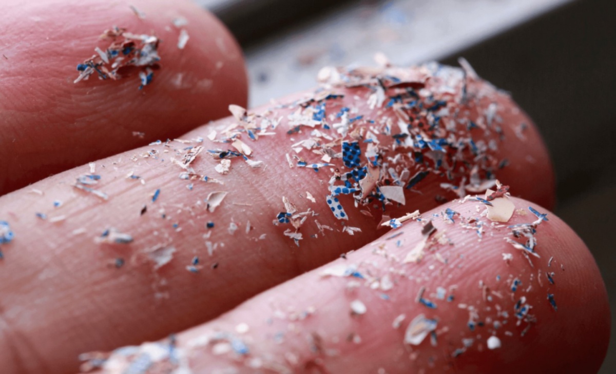 Top 2 loại củ quả đứng đầu danh sách nhiễm vi nhựa nhưng người Việt vẫn vô tư ăn hàng ngày- Ảnh 1. Top 2 loại củ quả đứng đầu danh sách nhiễm vi nhựa nhưng người Việt vẫn vô tư ăn hàng ngày- Ảnh 1.