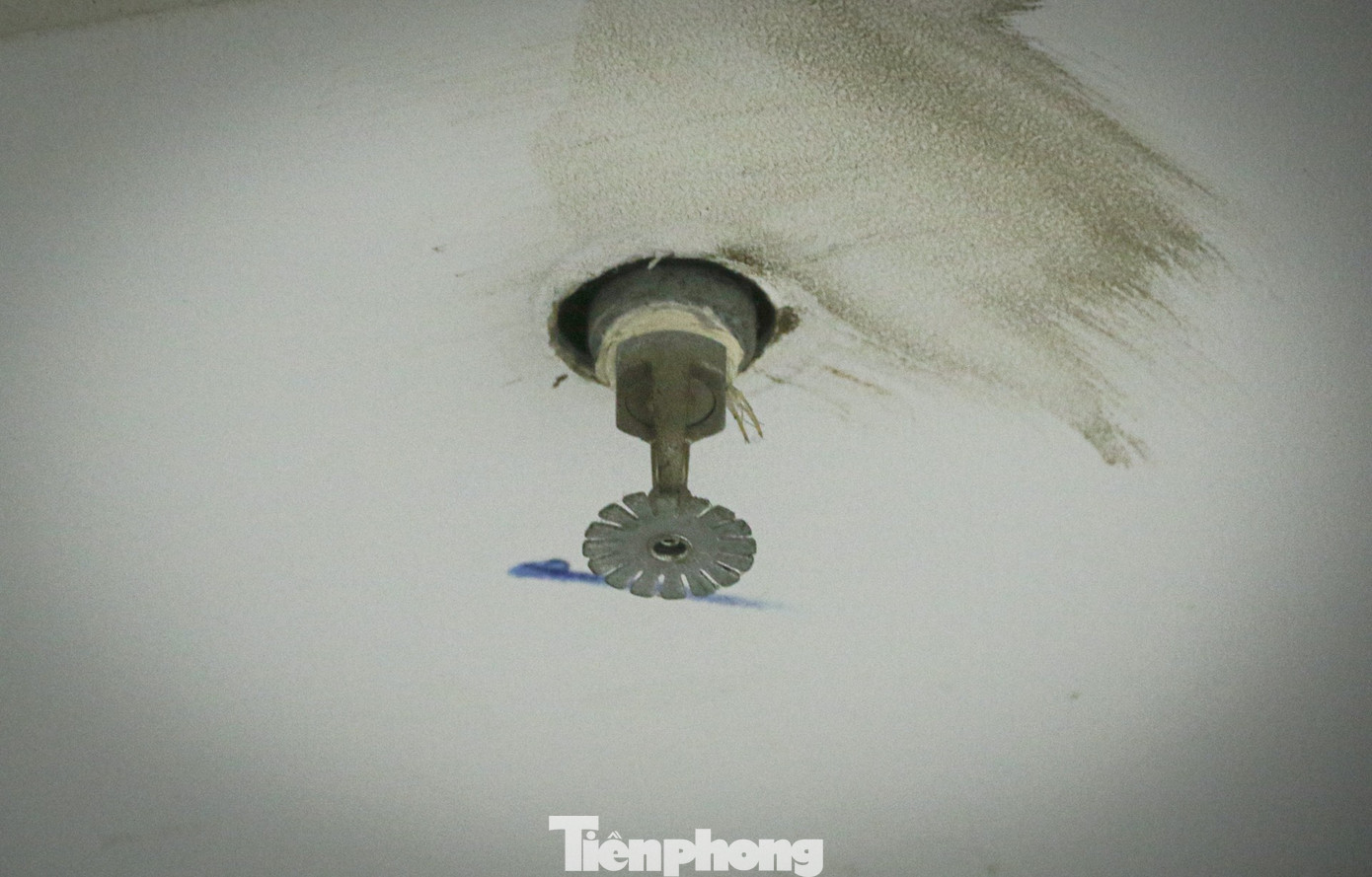 Vụ cháu bé ném dép trúng van nước làm hỏng thang máy: Thực hư chuyện bồi thường 2 tỷ đồng gây sốc- Ảnh 7.