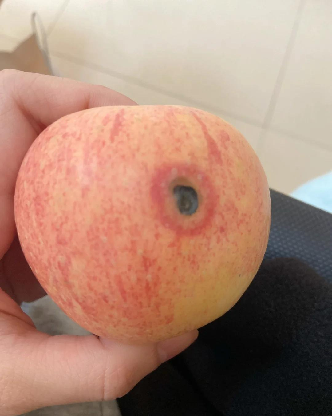 6 thói quen nhà bếp càng tiết kiệm càng rước bệnh, dừng ngay trước khi quá muộn- Ảnh 5.