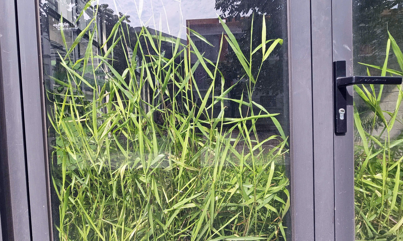 Chủ đầu tư 'đau đầu' với khu biệt thự, liền kề triệu đô bỏ hoang, cỏ dại mọc um tùm giữa Thủ đô- Ảnh 12. Chủ đầu tư 'đau đầu' với khu biệt thự, liền kề triệu đô bỏ hoang, cỏ dại mọc um tùm giữa Thủ đô- Ảnh 12.