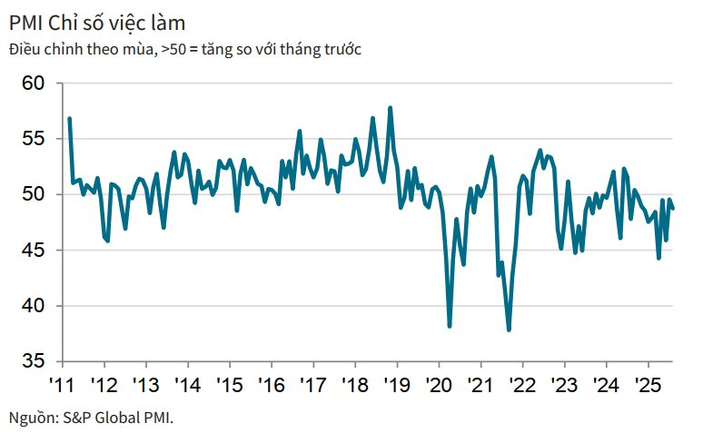 Dù PMI tháng 8 giảm nhẹ do đơn hàng sụt giảm vì thuế đối ứng, chuyên gia quốc tế chỉ ra điểm sáng trong bức tranh ngành sản xuất Việt Nam- Ảnh 2.