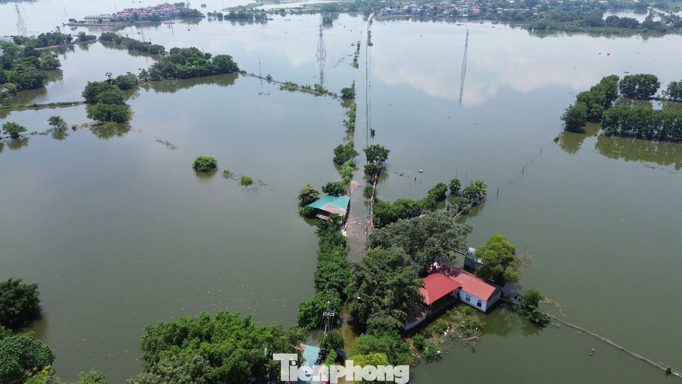 Hà Nội: Ngập sâu gần 1m, người dân nhiều xã ngoại thành phải dùng thuyền- Ảnh 10. Hà Nội: Ngập sâu gần 1m, người dân nhiều xã ngoại thành phải dùng thuyền- Ảnh 10.