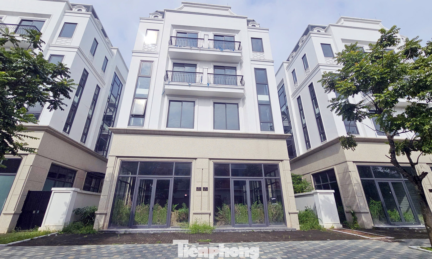 Chủ đầu tư 'đau đầu' với khu biệt thự, liền kề triệu đô bỏ hoang, cỏ dại mọc um tùm giữa Thủ đô- Ảnh 4. Chủ đầu tư 'đau đầu' với khu biệt thự, liền kề triệu đô bỏ hoang, cỏ dại mọc um tùm giữa Thủ đô- Ảnh 4.