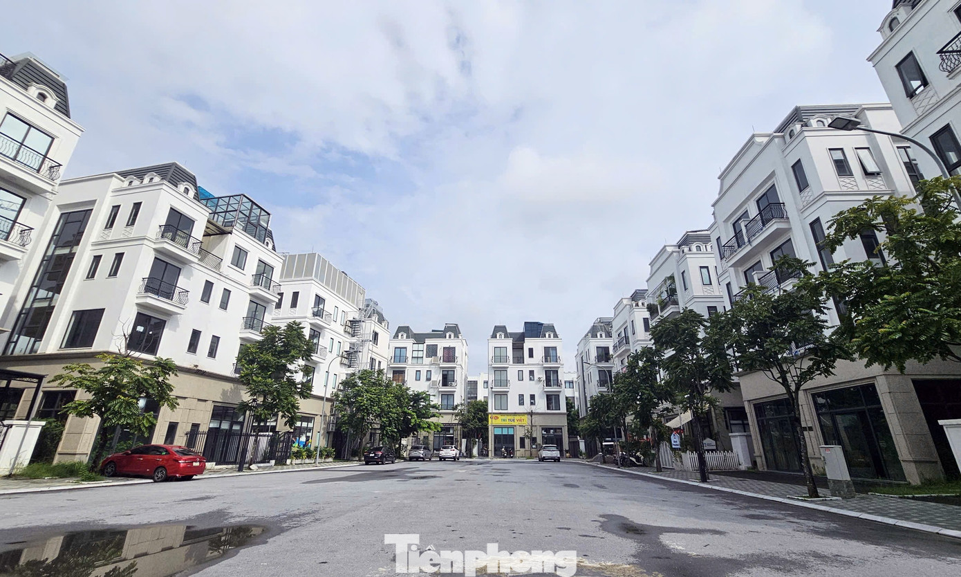 Chủ đầu tư 'đau đầu' với khu biệt thự, liền kề triệu đô bỏ hoang, cỏ dại mọc um tùm giữa Thủ đô- Ảnh 2. Chủ đầu tư 'đau đầu' với khu biệt thự, liền kề triệu đô bỏ hoang, cỏ dại mọc um tùm giữa Thủ đô- Ảnh 2.