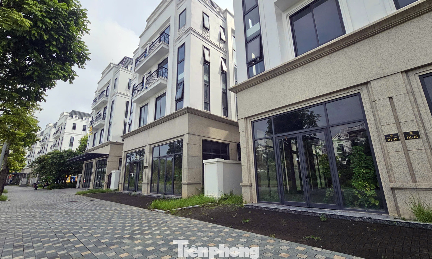 Chủ đầu tư 'đau đầu' với khu biệt thự, liền kề triệu đô bỏ hoang, cỏ dại mọc um tùm giữa Thủ đô- Ảnh 5. Chủ đầu tư 'đau đầu' với khu biệt thự, liền kề triệu đô bỏ hoang, cỏ dại mọc um tùm giữa Thủ đô- Ảnh 5.