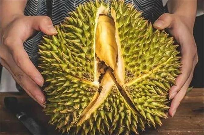 Mua sầu riêng, cứ thuộc mẹo này đảm bảo biết ngay sầu chín cơm hay sầu sượng- Ảnh 2. Mua sầu riêng, cứ thuộc mẹo này đảm bảo biết ngay sầu chín cơm hay sầu sượng- Ảnh 2.