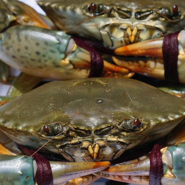 Ra chợ mua cua, học thuộc Ra chợ mua cua, học thuộc