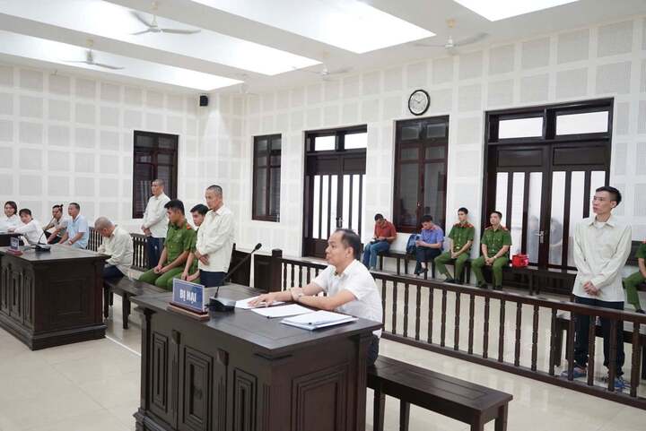 Thuê giang hồ chém cổ đông, chủ tịch công ty lĩnh án- Ảnh 1.