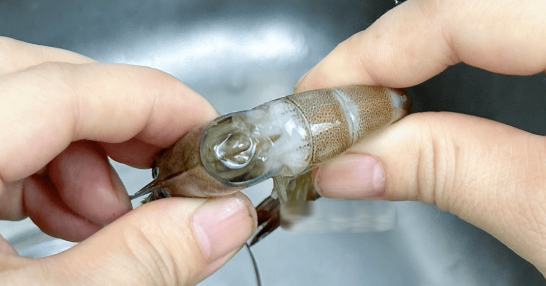 Tôm có 1 bộ phận cực bẩn mà chuyên gia khuyên nên vứt bỏ, 2 mẹo đơn giản giúp bạn xử lý cực nhanh- Ảnh 2. Tôm có 1 bộ phận cực bẩn mà chuyên gia khuyên nên vứt bỏ, 2 mẹo đơn giản giúp bạn xử lý cực nhanh- Ảnh 2.