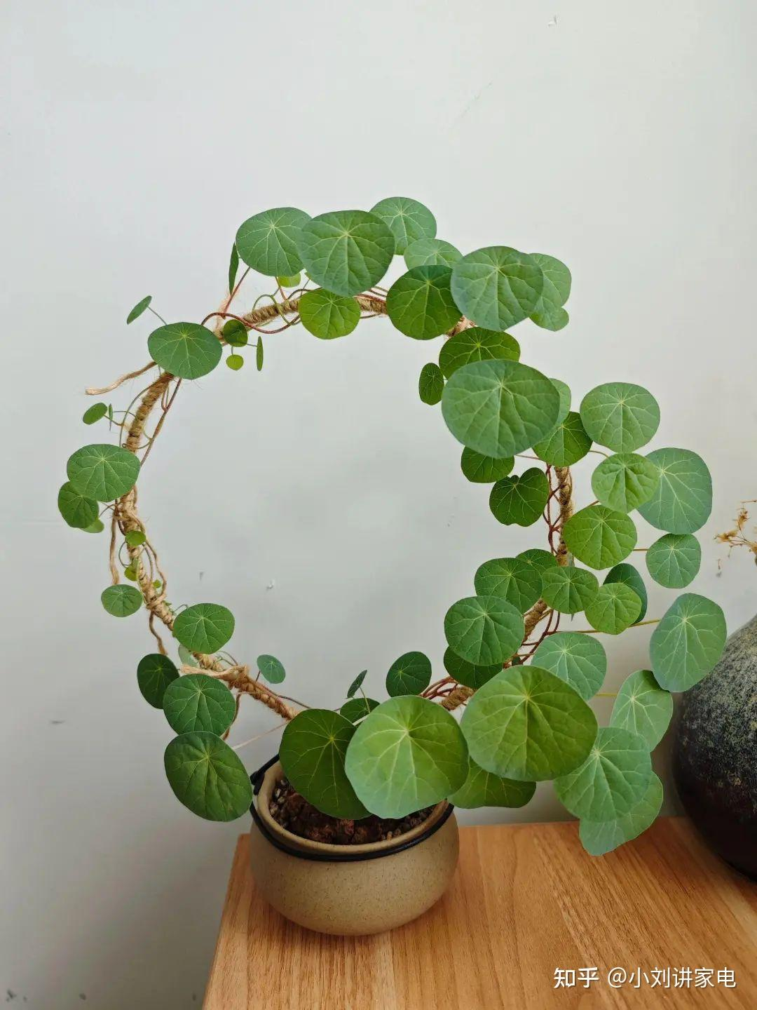 8 mẹo “thay đồ” cực rẻ của người dì trung niên: Chi phí chỉ bằng 1/10 mà hiệu quả không ngờ- Ảnh 7. 8 mẹo “thay đồ” cực rẻ của người dì trung niên: Chi phí chỉ bằng 1/10 mà hiệu quả không ngờ- Ảnh 7.