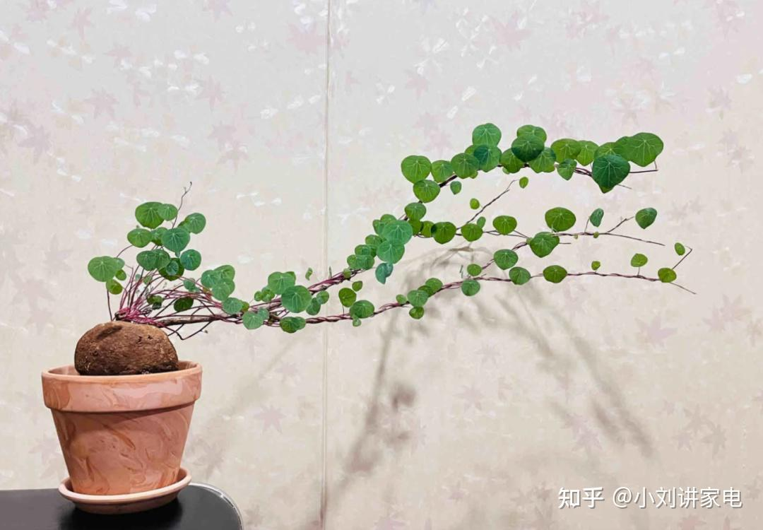 8 mẹo “thay đồ” cực rẻ của người dì trung niên: Chi phí chỉ bằng 1/10 mà hiệu quả không ngờ- Ảnh 6. 8 mẹo “thay đồ” cực rẻ của người dì trung niên: Chi phí chỉ bằng 1/10 mà hiệu quả không ngờ- Ảnh 6.