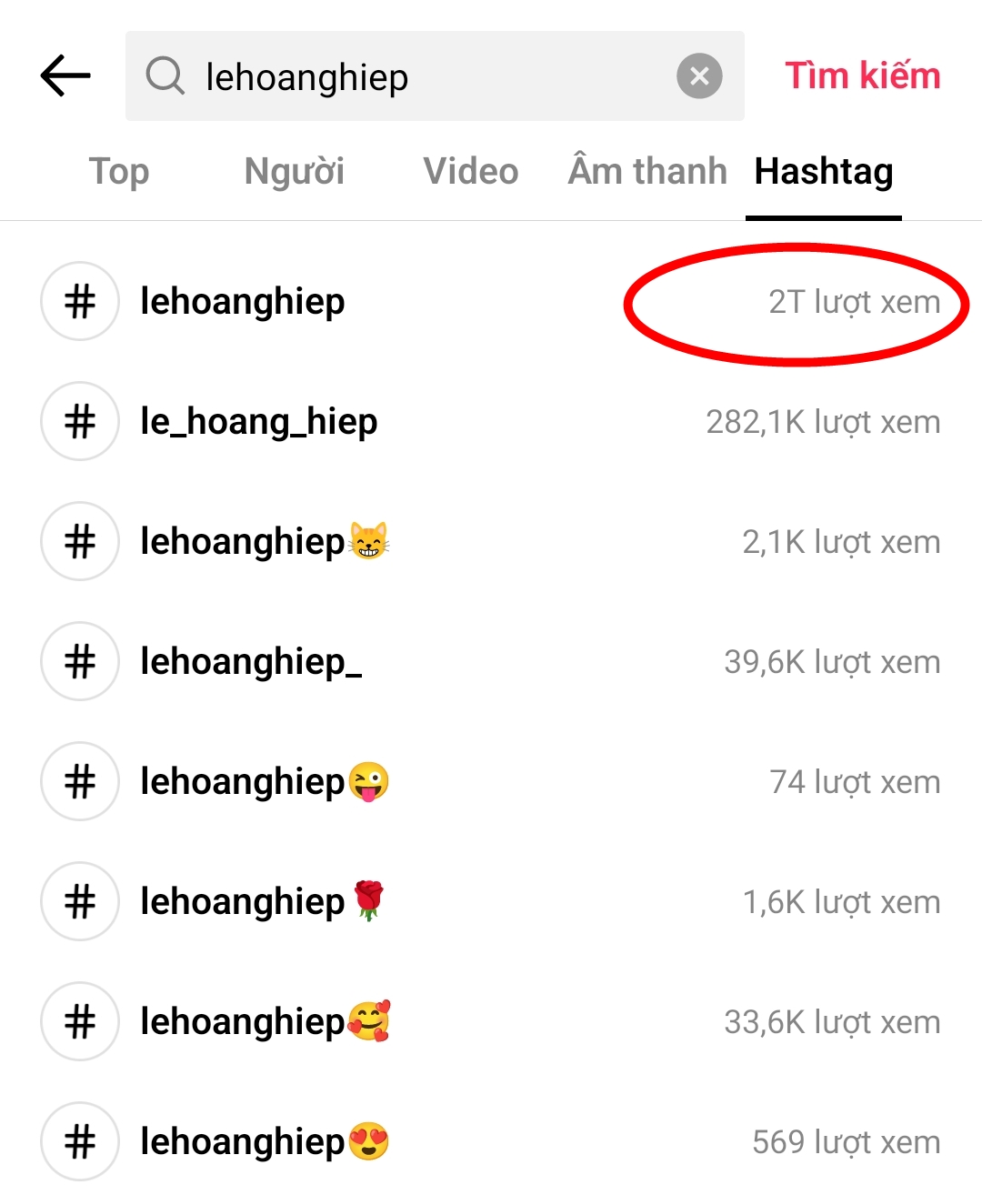 2 tỷ lượt xem Lê Hoàng Hiệp trong 4 tháng: Kỷ lục vô tiền khoáng hậu?- Ảnh 4. 2 tỷ lượt xem Lê Hoàng Hiệp trong 4 tháng: Kỷ lục vô tiền khoáng hậu?- Ảnh 4.