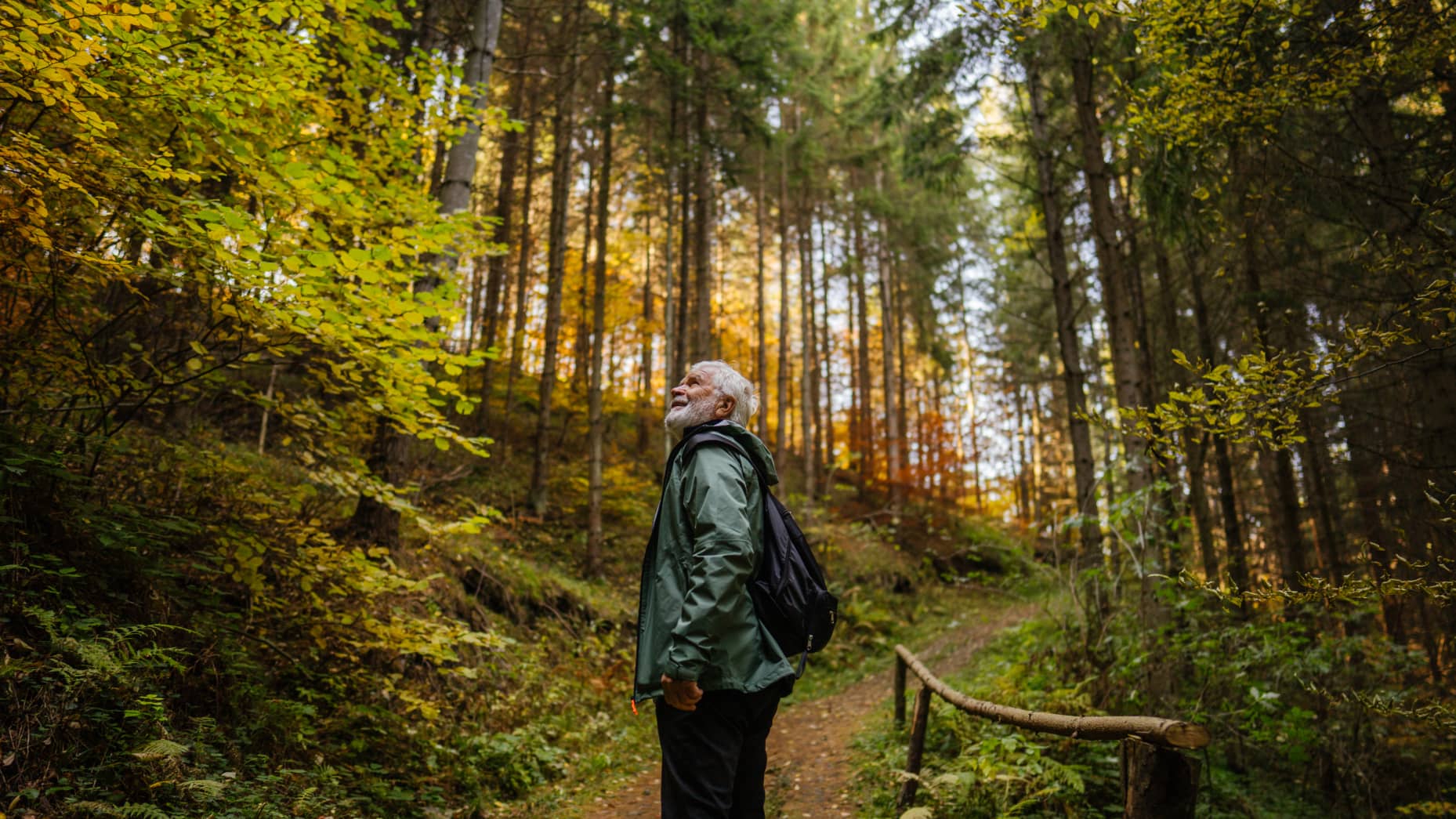 Tiến sĩ U80 bơi tốt 20-30 vòng bể, viết 175 cuốn sách nhờ 5 bí quyết kinh điển: Bạn cũng biết nhưng lười làm- Ảnh 1.