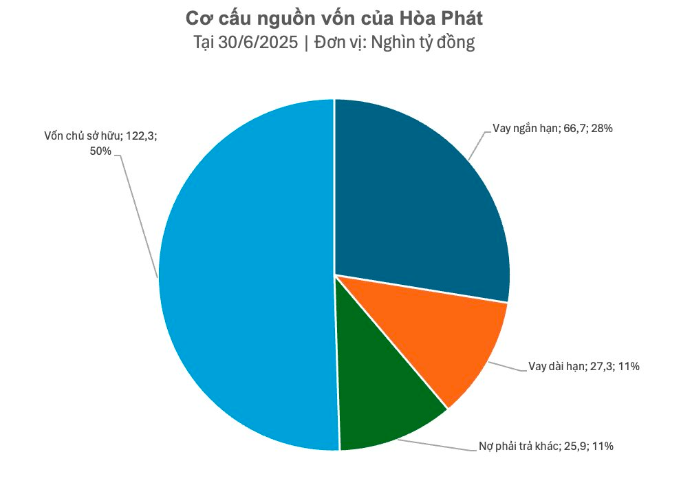 Lộ diện 'chủ nợ' lớn nhất của Hoà Phát với khoản cho vay dài hạn gần 30.000 tỷ đồng- Ảnh 4.