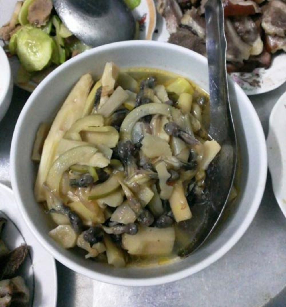 Đặc sản nòng nọc om măng rừng xứ Thanh: Món ăn khiến nhiều người sững sờ khi nghe tên- Ảnh 3. Đặc sản nòng nọc om măng rừng xứ Thanh: Món ăn khiến nhiều người sững sờ khi nghe tên- Ảnh 3.