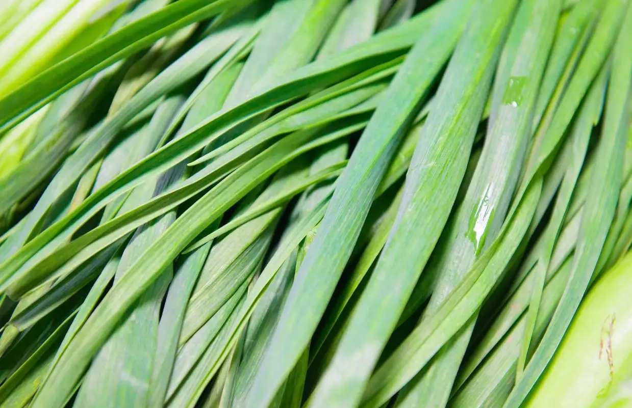 5 loại rau quả "ngậm thuốc" nhiều nhất chợ, tiểu thương lâu năm nói thẳng không bao giờ cho gia đình ăn- Ảnh 1. 5 loại rau quả "ngậm thuốc" nhiều nhất chợ, tiểu thương lâu năm nói thẳng không bao giờ cho gia đình ăn- Ảnh 1.