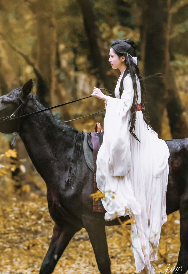 10 mỹ nhân bạch y đẹp nhất Trung Quốc: Lưu Diệc Phi chỉ xếp thứ 2, hạng 1 đúng chuẩn phong hoa tuyệt đại- Ảnh 6.