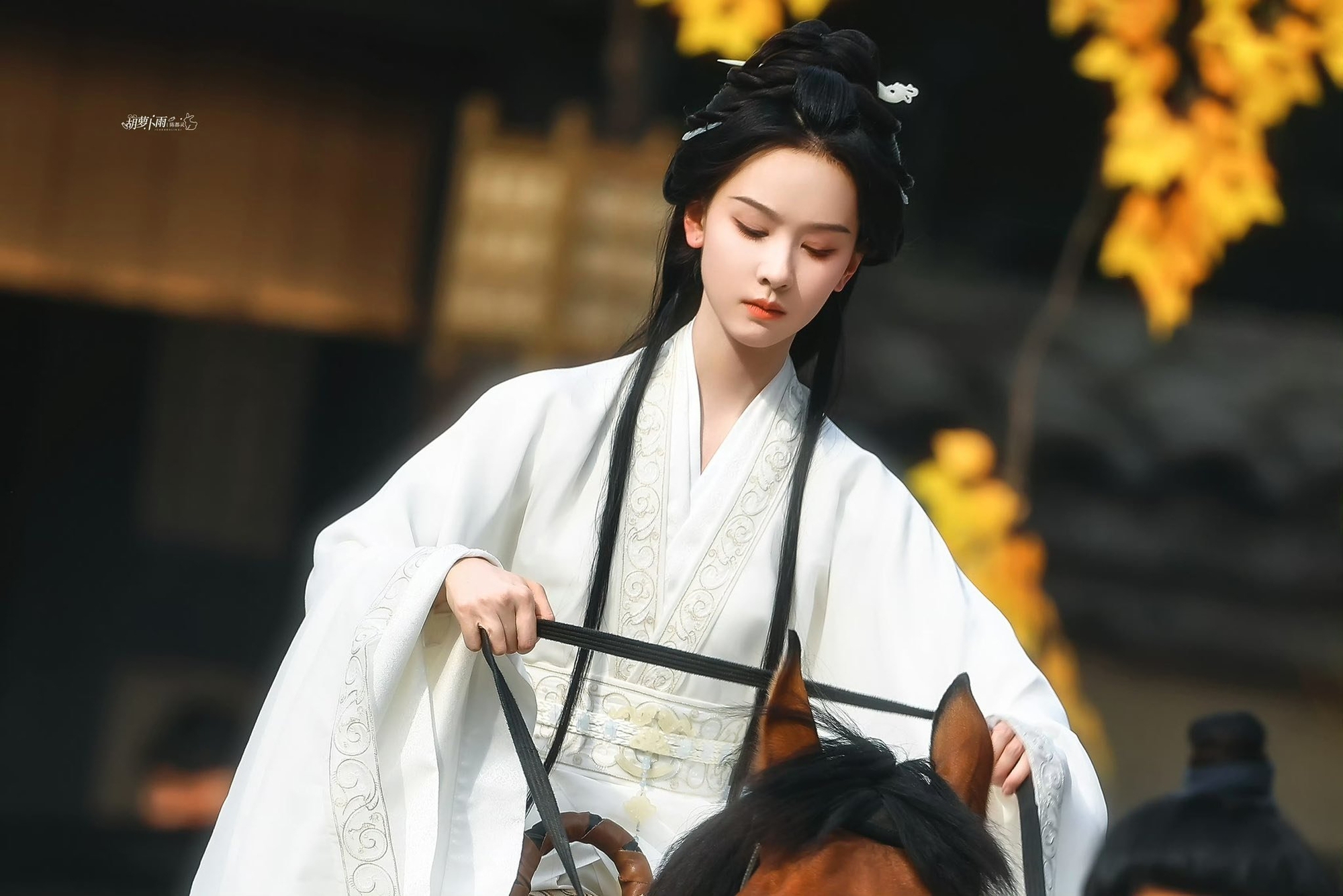 10 mỹ nhân bạch y đẹp nhất Trung Quốc: Lưu Diệc Phi chỉ xếp thứ 2, hạng 1 đúng chuẩn phong hoa tuyệt đại- Ảnh 16.