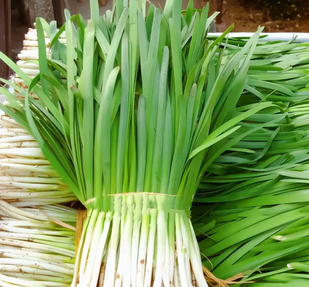 Người bán rau nói thẳng: Đi chợ thấy rau củ có 4 đặc điểm này, rẻ như bèo cũng QUAY XE!- Ảnh 3. Người bán rau nói thẳng: Đi chợ thấy rau củ có 4 đặc điểm này, rẻ như bèo cũng QUAY XE!- Ảnh 3.