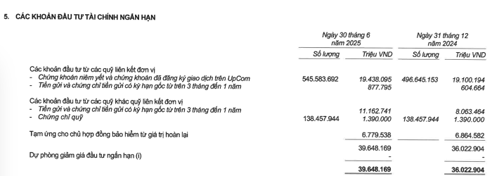 Công ty bảo hiểm lớn thứ hai Việt Nam rót hơn 19.400 tỷ vào cổ phiếu, lãi trước thuế 812 tỷ đồng trong nửa đầu năm- Ảnh 1. Công ty bảo hiểm lớn thứ hai Việt Nam rót hơn 19.400 tỷ vào cổ phiếu, lãi trước thuế 812 tỷ đồng trong nửa đầu năm- Ảnh 1.