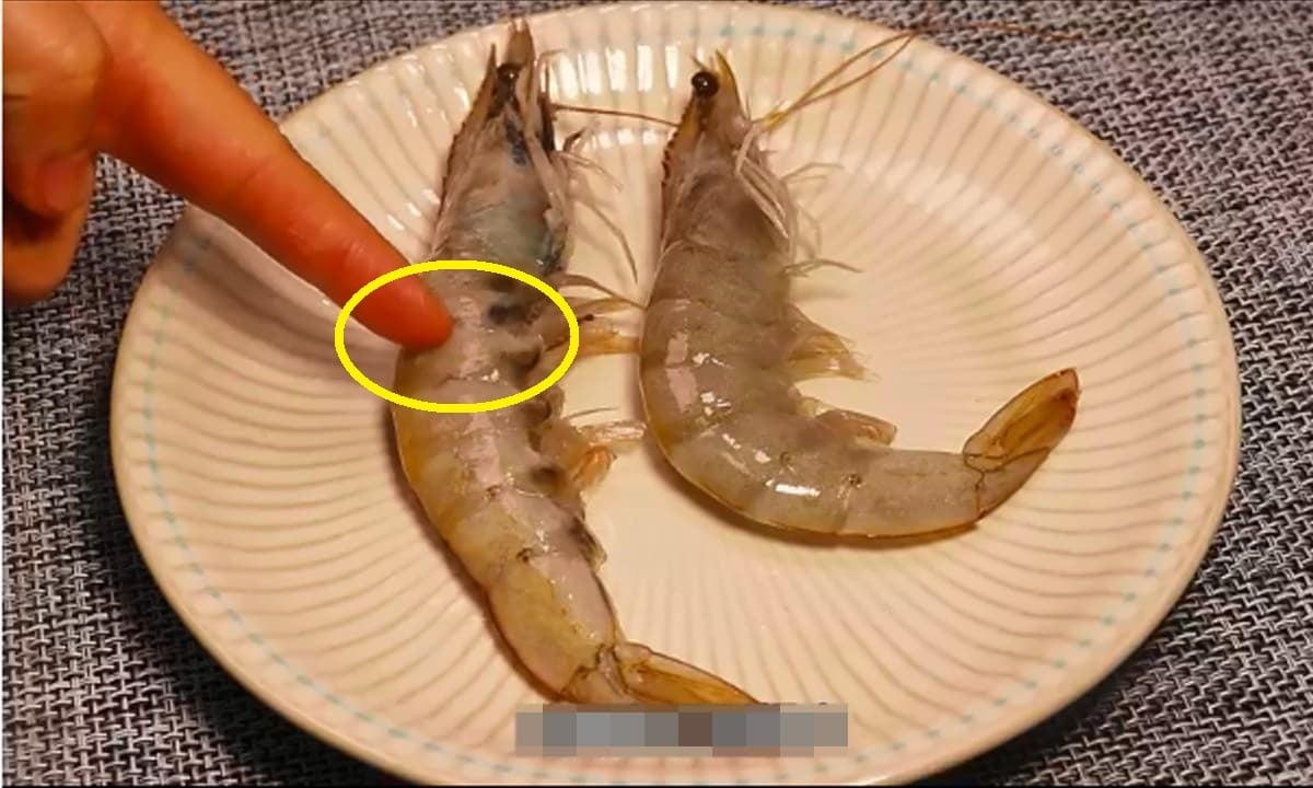 Chủ tiệm hải sản nói thẳng: “Chỉ người không biết mới mua 4 loại tôm này, cực hại sức khỏe, nhớ tránh xa"- Ảnh 2. Chủ tiệm hải sản nói thẳng: “Chỉ người không biết mới mua 4 loại tôm này, cực hại sức khỏe, nhớ tránh xa"- Ảnh 2.