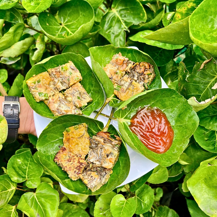 "Ước mơ" không phải rửa bát sau khi ăn, cô gái liền trồng ngay một loại cây, dân mạng xem xong chỉ biết trầm trồ- Ảnh 3. "Ước mơ" không phải rửa bát sau khi ăn, cô gái liền trồng ngay một loại cây, dân mạng xem xong chỉ biết trầm trồ- Ảnh 3.