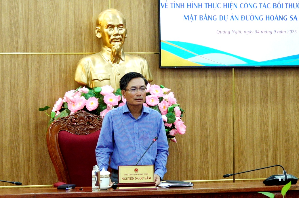 Thông tin mới nhất về dự án đường 3.500 tỷ đồng, ảnh hưởng hơn 2.300 hộ dân tại Quảng Ngãi- Ảnh 2. Thông tin mới nhất về dự án đường 3.500 tỷ đồng, ảnh hưởng hơn 2.300 hộ dân tại Quảng Ngãi- Ảnh 2.