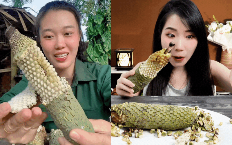 "7 năm chờ mới ăn được một quả": Loại cây nhà giàu trồng làm cảnh nay thành đặc sản mukbang gây sốt MXH- Ảnh 1. "7 năm chờ mới ăn được một quả": Loại cây nhà giàu trồng làm cảnh nay thành đặc sản mukbang gây sốt MXH- Ảnh 1.