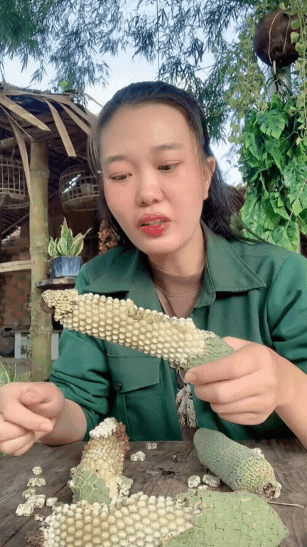 "7 năm chờ mới ăn được một quả": Loại cây nhà giàu trồng làm cảnh nay thành đặc sản mukbang gây sốt MXH- Ảnh 10. "7 năm chờ mới ăn được một quả": Loại cây nhà giàu trồng làm cảnh nay thành đặc sản mukbang gây sốt MXH- Ảnh 10.