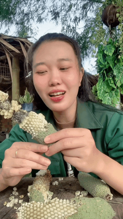 "7 năm chờ mới ăn được một quả": Loại cây nhà giàu trồng làm cảnh nay thành đặc sản mukbang gây sốt MXH- Ảnh 9. "7 năm chờ mới ăn được một quả": Loại cây nhà giàu trồng làm cảnh nay thành đặc sản mukbang gây sốt MXH- Ảnh 9.