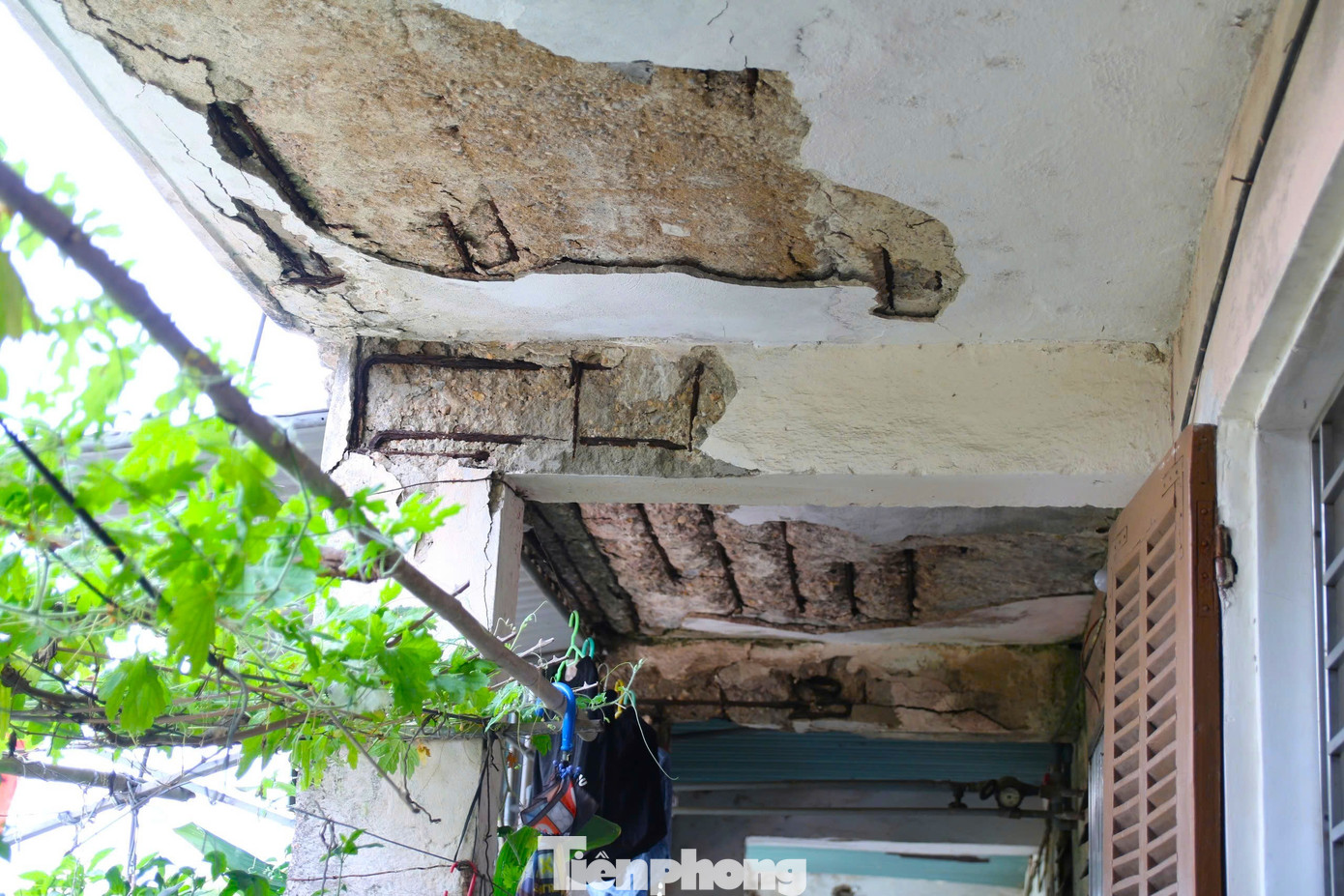 Chung cư xuống cấp, trần rơi lả tả- Ảnh 6. Chung cư xuống cấp, trần rơi lả tả- Ảnh 6.